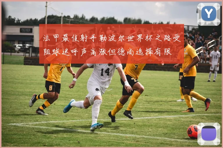 法甲最佳射手勒波尔世界杯之路受阻球迷呼声高涨但德尚选择有限
