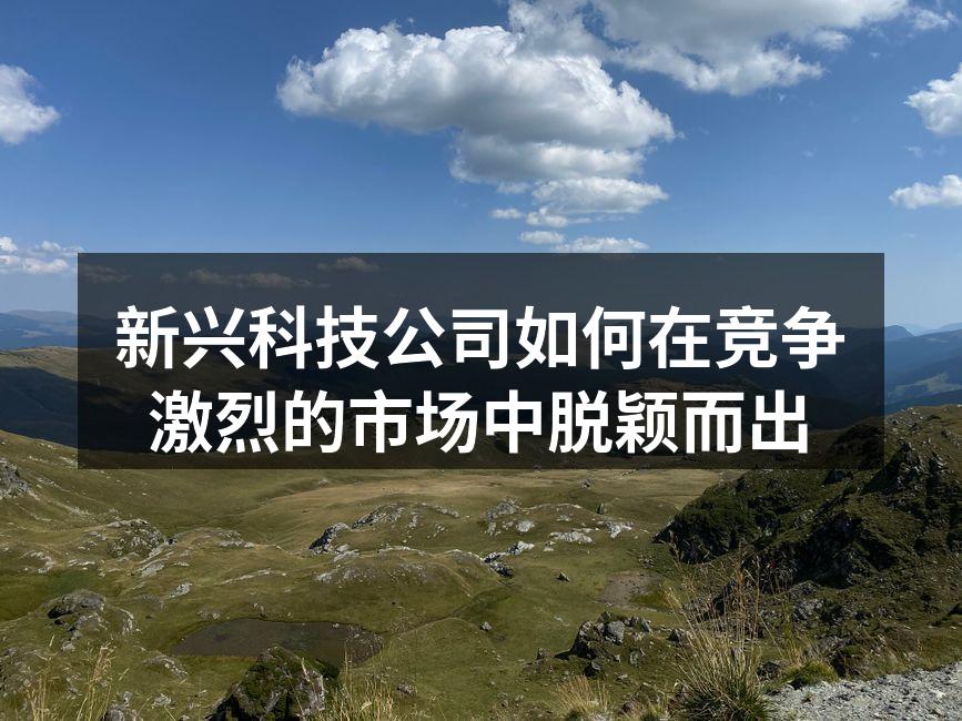 新兴科技公司如何在竞争激烈的市场中脱颖而出